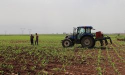 Tarımsal destek ödemeleri çiftçilerin hesaplarına yatıyor