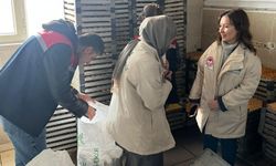 Şanlıurfa'da 2 ton bozuk tatlı ile kuru yemiş ele geçirildi