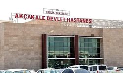 Şanlıurfa'da otomobilin çarptığı yaya hayatını kaybetti