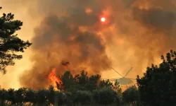 Muğla'da orman yangınına müdahale devam ediyor