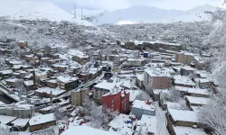 Akşam saatlerinden itibaren Bitlis kar yağışının etkisine girecek