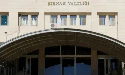 Şırnak'ta narkotik ve silah operasyonu