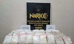 Mardin'de 56 kilo narkotik madde ele geçirildi