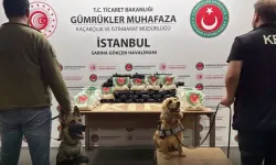 Gümrük Muhafaza'dan zehir satıcılarına geçit yok!