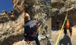 Diyarbakır'da keçi kurtarma, aksiyon filmlerini aratmadı