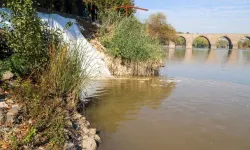 Diyarbakır'da Dicle Nehri koruma altına alıncak