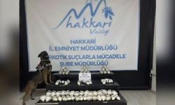 Hakkari'de 35 kilogram metamfetamin ele geçirildi