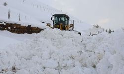 Van, Hakkari ve Muş'ta 218 yerleşim birimi ulaşıma kapandı