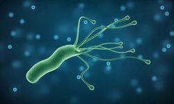 Çağın salgın hastalığı: Helicobacter pylori