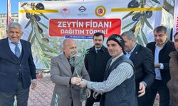 Adıyaman'da çiftçilere zeytin fidanı dağıtıldı