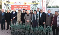 Adıyaman'da çiftçilere zeytin fidesi dağıtıldı