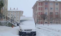 Doğu Anadolu’da 799 yerleşim birimi ulaşıma kapandı