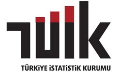 TÜİK 2023 girişim istatistiklerini açıkladı