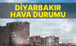 Diyarbakır'da hava bugün (28 Aralık) nasıl olacak?