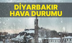 Diyarbakır'da parçalı bulutlu bir gün bekleniyor