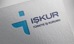 İŞKUR açıkladı: En çok aranan meslekler