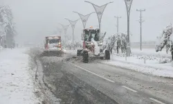 Van'da ve Bitlis'te 221 yerleşim birimi ulaşıma kapandı