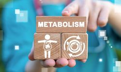 Vücudun enerji üretim süreci: Metabolizma