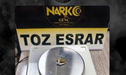 Bingöl'de narkotik operasyonu: 2 gözaltı