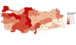 Diyarbakır'ın yoksulluk oranı nedir?