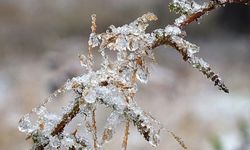 Meteoroloji'den Diyarbakır'a don uyarısı