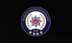 Mardin'de firari hükümlü yakalandı