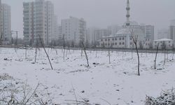 Meteoroloji uyardı: Diyarbakır’a bu gece kuvvetli kar yağışı geliyor!