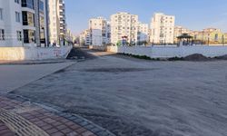 Diyarbakır'da şaşırtan görüntüler