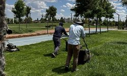 Eyyübiye Belediyesi işçi alacak! Başvurular başladı