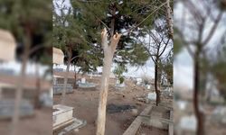 Şanlıurfa'da arazi anlaşmazlığında ölen amca-yeğen toprağa verildi