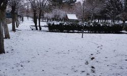 Ergani'de kar yağışı etkili oldu