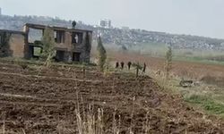 Diyarbakır'da sit alanında fidan diken şüpheli, polise direndi
