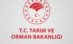 Tarım ve Orman Bakanlığı'ndan liselilere staj fırsatı!