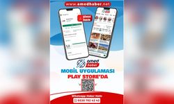 Amed Haber mobil uygulaması Play Store'da yayında!