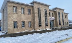 Malazgirt'te 2 adet sikke ele geçirildi