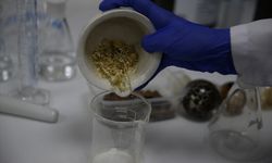 Dicle Üniversitesi, yeni ilaçların geliştirilmesi için çalışıyor