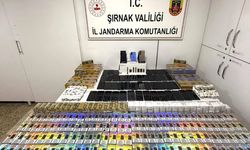 Şırnak'ta asayiş operasyonu: 44 gözaltı