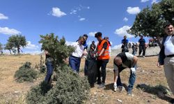 Şırnak'ta "Orman Benim" etkinliği düzenlendi