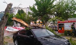 Batman’da şiddetli fırtınada ağaç devrildi, park halindeki araç hasar gördü