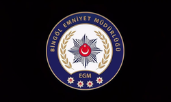 Bingöl'de iş yerinden hırsızlık yapan şüpheliler yakalandı