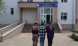 Bingöl'de 13 yıl hapis cezası bulunan hükümlü yakalandı