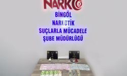 Bingöl'de narkotik madde operasyonu: 1 tutuklama