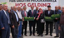 Çiftçilere 250 bin adet sebze fidesi dağıtıldı