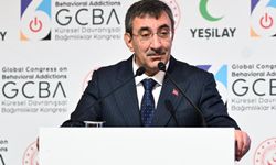 Cumhurbaşkanı Yardımcısı Yılmaz'dan cari açık değerlendirmesi