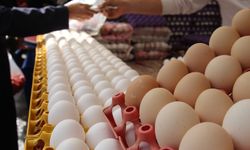 Diyarbakır'da yumurta fiyatları düştü talepler arttı