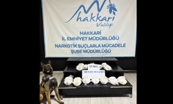 Hakkâri’de 10 kilo 280 gram skunk ele geçirildi