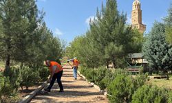 Şeyh Eles Mesire Alanı’nda temizlik yapıldı