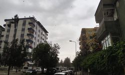Diyarbakır'da şiddetli rüzgar ve toz etkili oluyor