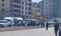 Kamyonet aydınlatma direğine çarptı: 2 yaralı