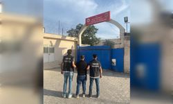 Mardin’de narko operasyonunda 8 tutuklama